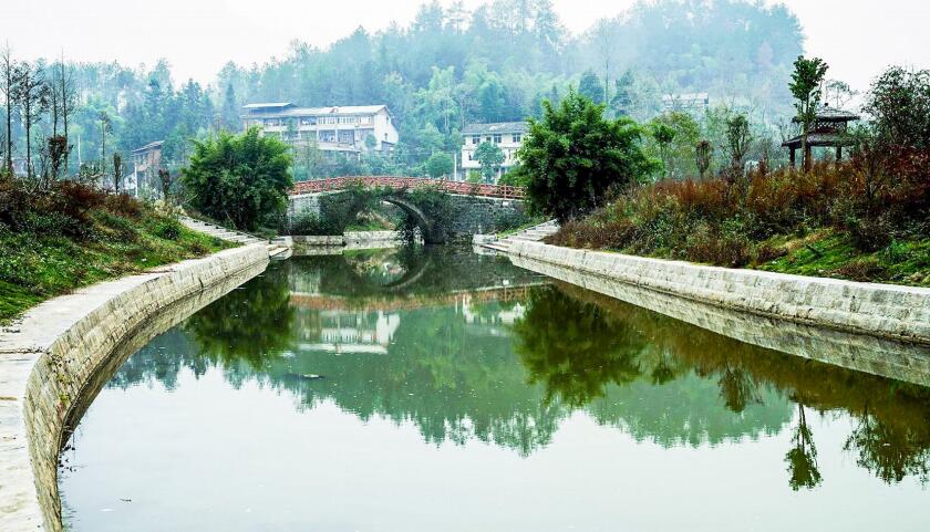 行业新闻丨南川：打造生态式边坡 河道治理“焕新颜”